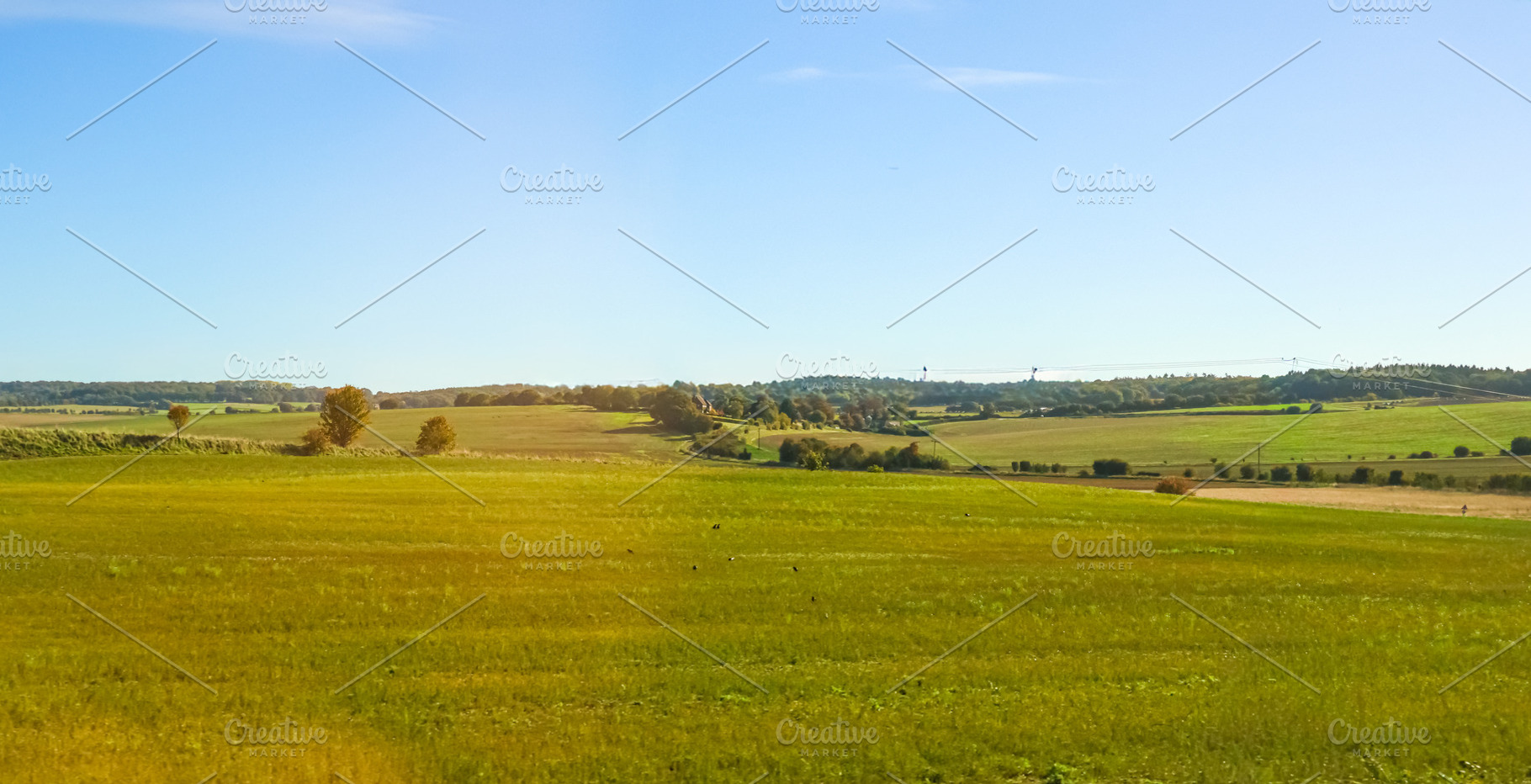 Green vast rural landscape with fields and clear blue sky showin, a Photo by Studio ANNA