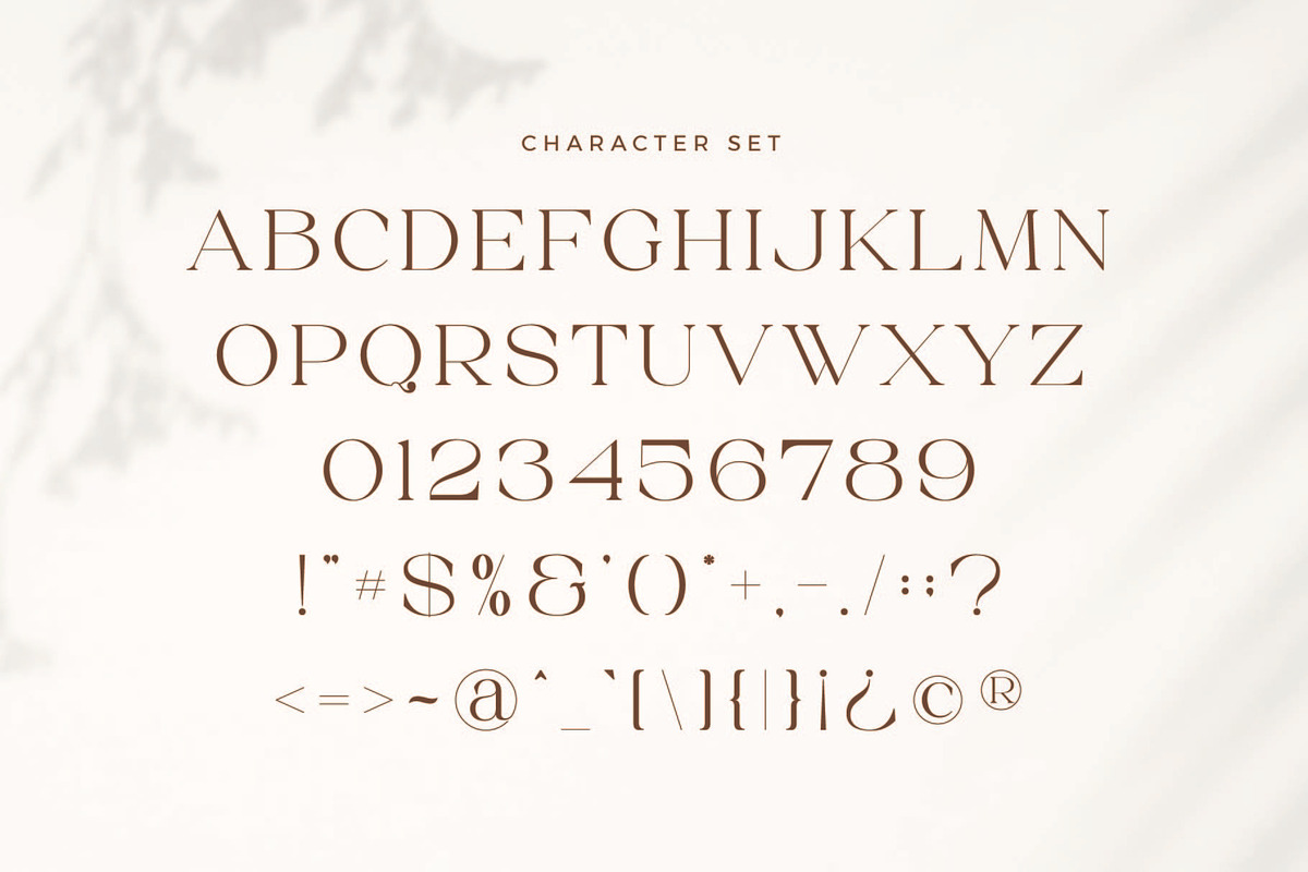 Rossce - Beautiful Serif Font, a Serif Font by Aqeel_Art (Photo 8 of 9)