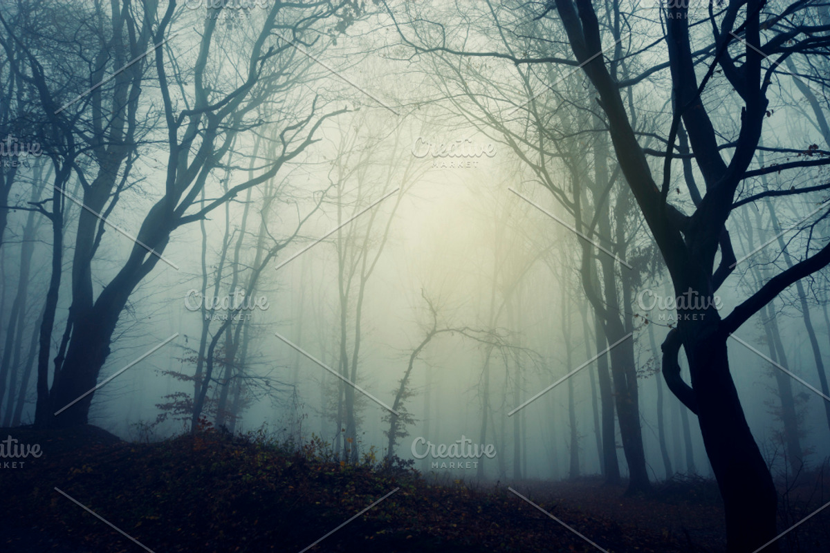 Haunted Halloween Forest Pack 1, a Holiday Photo by Atmospheric visuals (Photo 6 of 6)