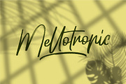 Hellotropica Handbrush Fonts, a Script Font by Garisman Std (Thumbnail 7 of 10)