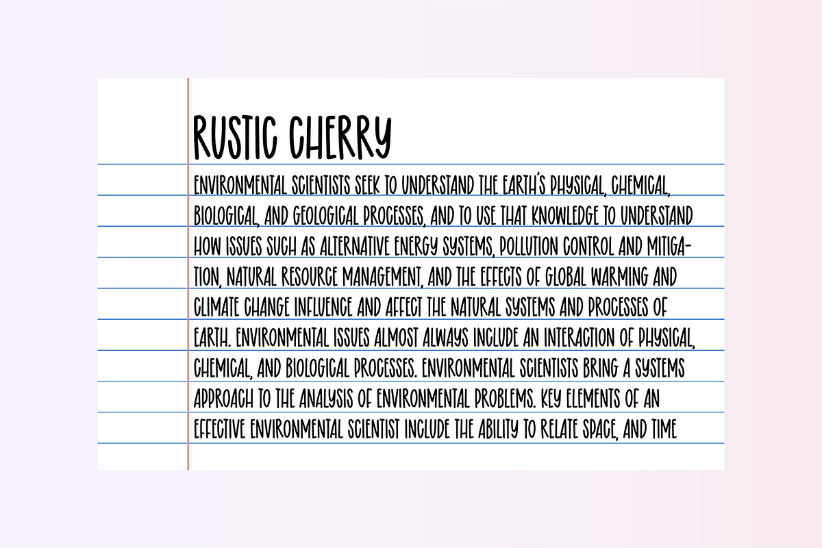 NOTEBOOK HANDWRITING Bundle Vol 4, a Handwritten Font by Blush Font Co. (Photo 8 of 10)