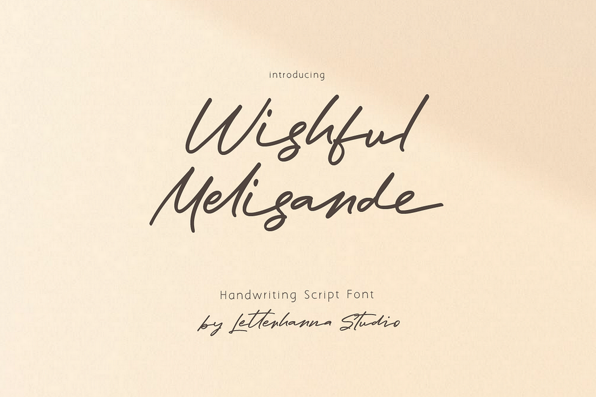 Wishful Melisande Handwriting Font, a Handwritten Font by Letterhanna Studio (Photo 2 of 11)