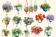Flowers in hanging pots clipart, a Decorative Illustration by Hello My Print (Thumbnail 4 of 10)