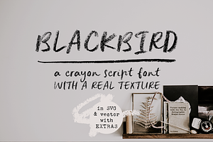 Blackbird Crayon Script SVG Font