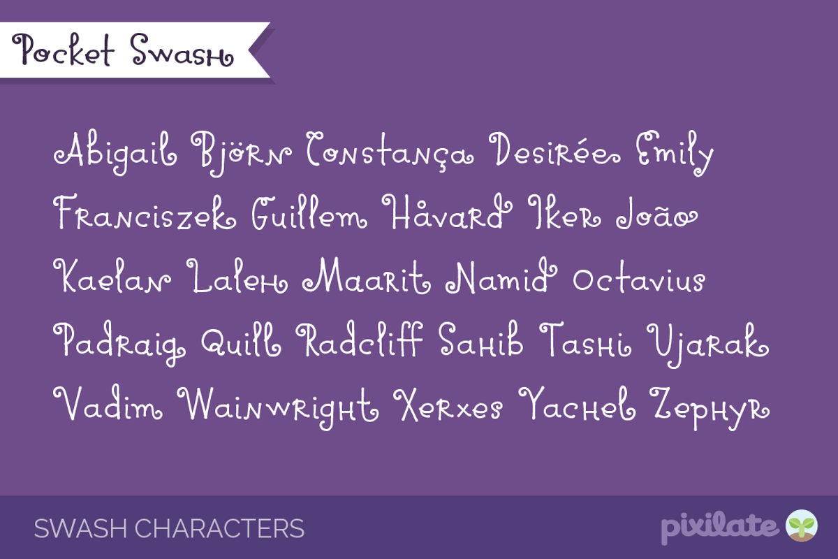 Pocket Swash Font preview 4