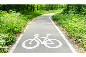 Bike lane through forest marked with, a Nature Photo by Lermont51