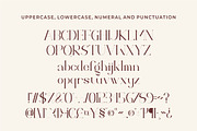 Fragier unique ligature serif font, a Serif Font by suhadidesign (Thumbnail 13 of 14)