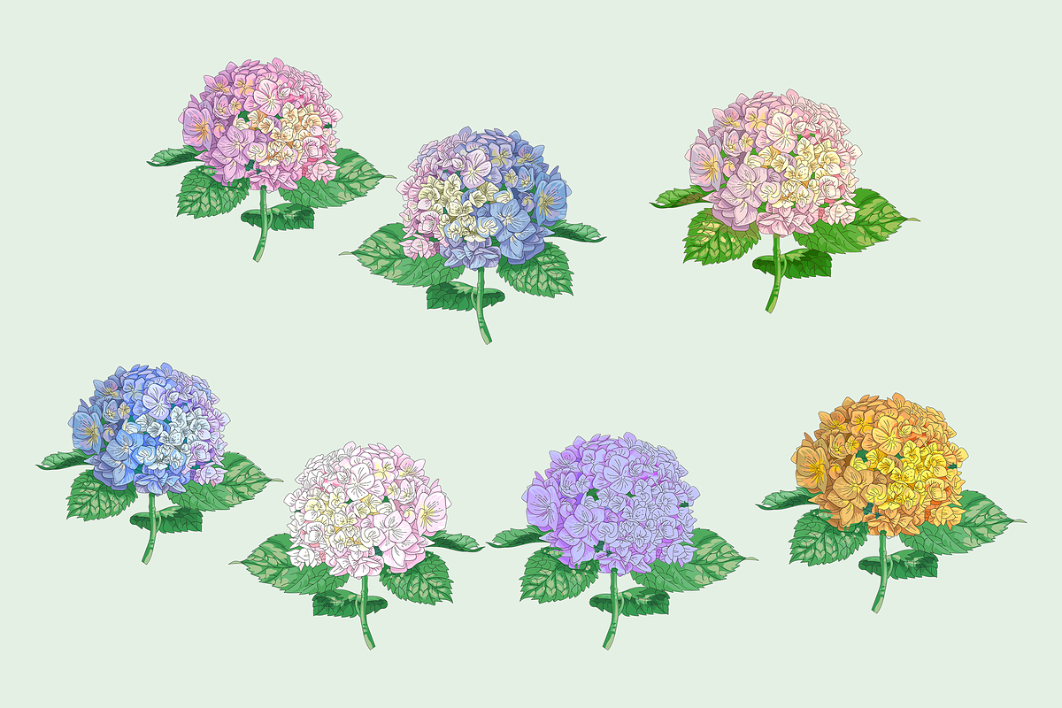 Flowers Illustration Bundle, a Decorative Illustration by Schumacher Shop (Photo 10 of 18)