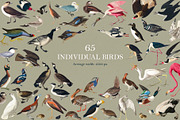 90 Vintage Birds of America, an Illustration by The Object Atlas (Thumbnail 7 of 9)