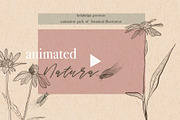 Animated NATURA handmade graphic, an Illustration by holaholga (Thumbnail 1 of 10)