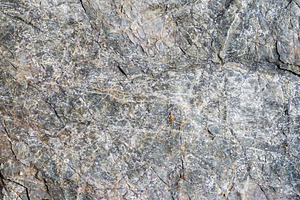 Closeup macro gray stone texture, an Abstract Photo by Alexander-Piragis