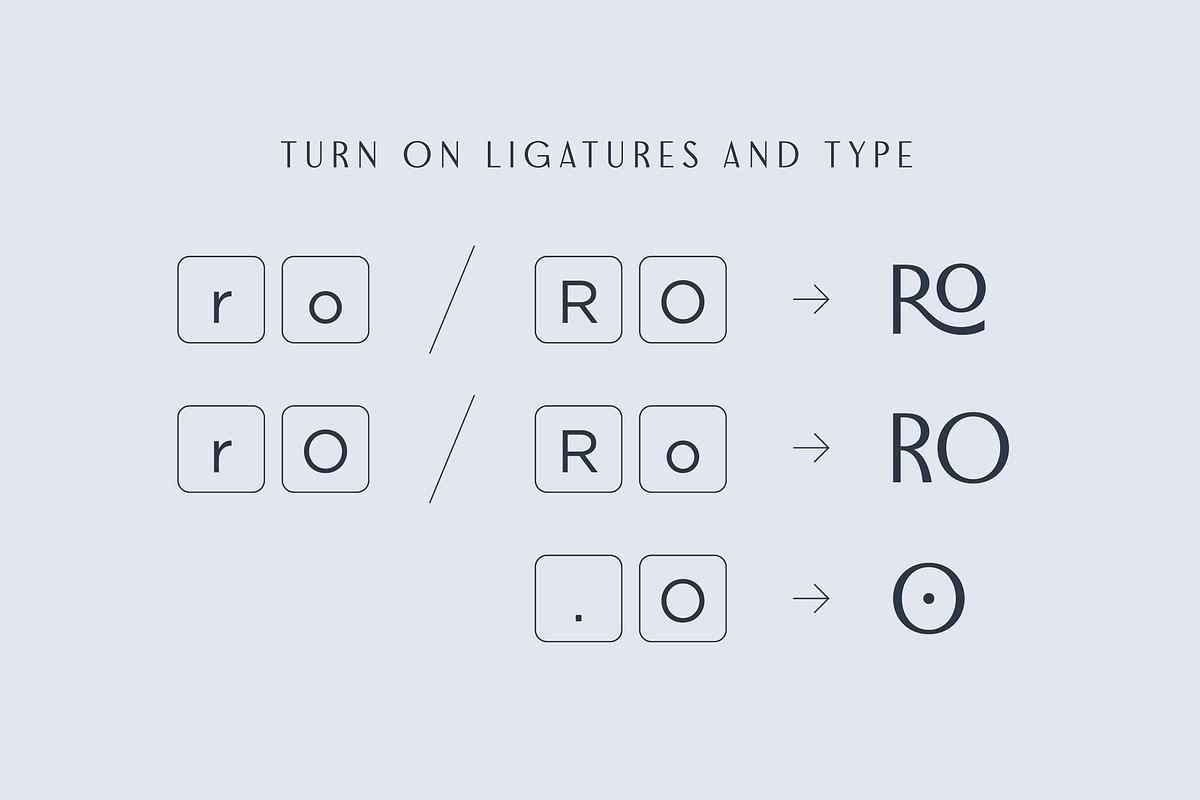 Gyroscope Sans & Serif Font Duo, a Sans Serif Font by Dopestype (Photo 13 of 14)