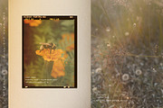 Afterlight - Light Overlays, a Texture Graphic by alonahaidash (Thumbnail 15 of 18)