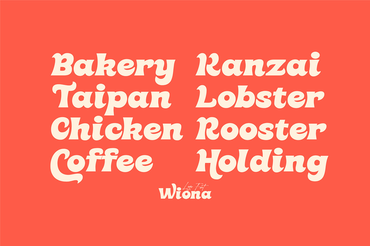 Wiona – Cute Chubby Font, a Sans Serif Font by Salamahtype (Photo 5 of 8)