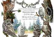 Owls in the forest .Woodland., an Animal Illustration by AkvarelRiver (Thumbnail 1 of 9)