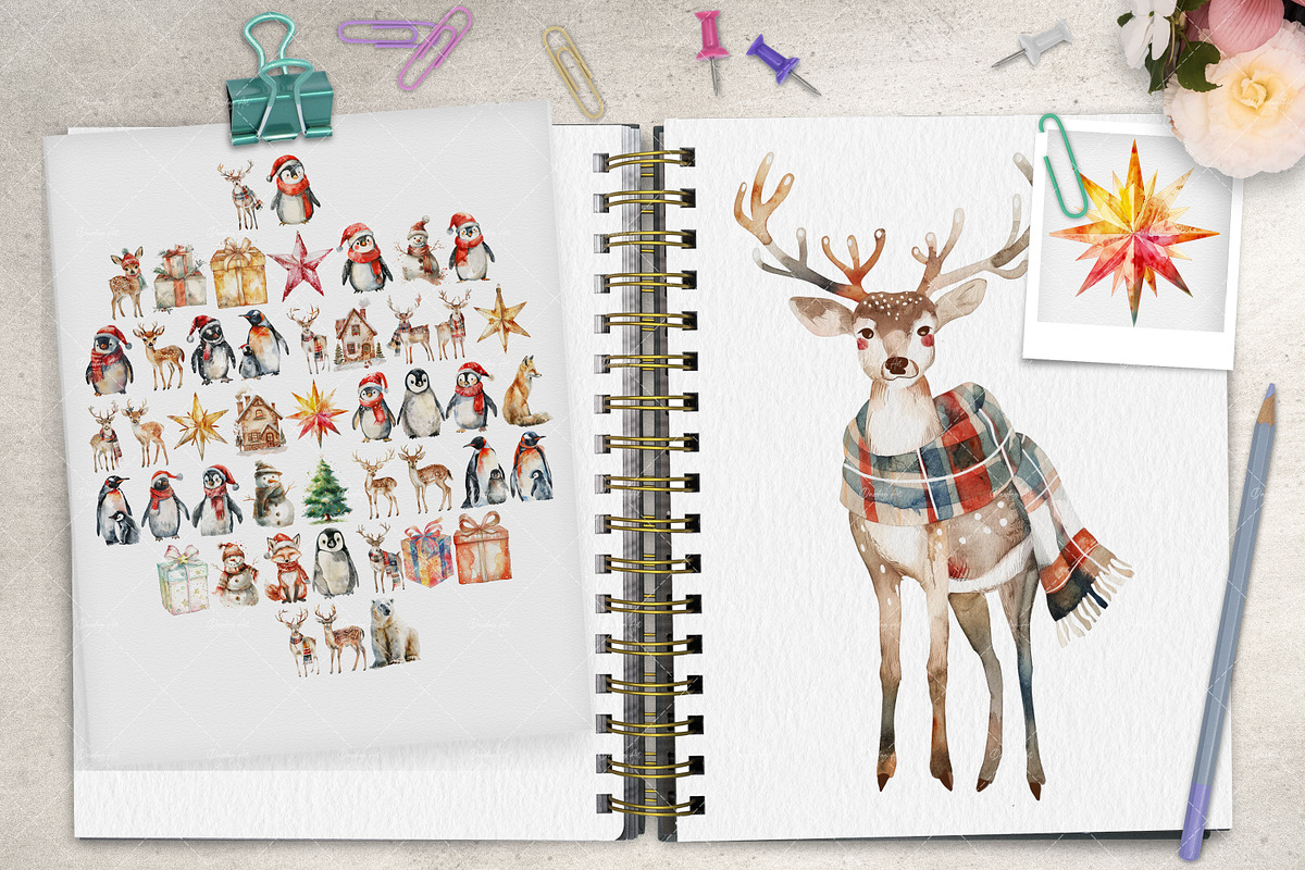 Winter Wonderland Christmas Animals, a Seasonal Illustration by Dazzling Art Boutique (Photo 2 of 6)