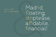 Fibon Sans Font Family, a Sans Serif Font by Hederae Type Foundry (Thumbnail 5 of 5)