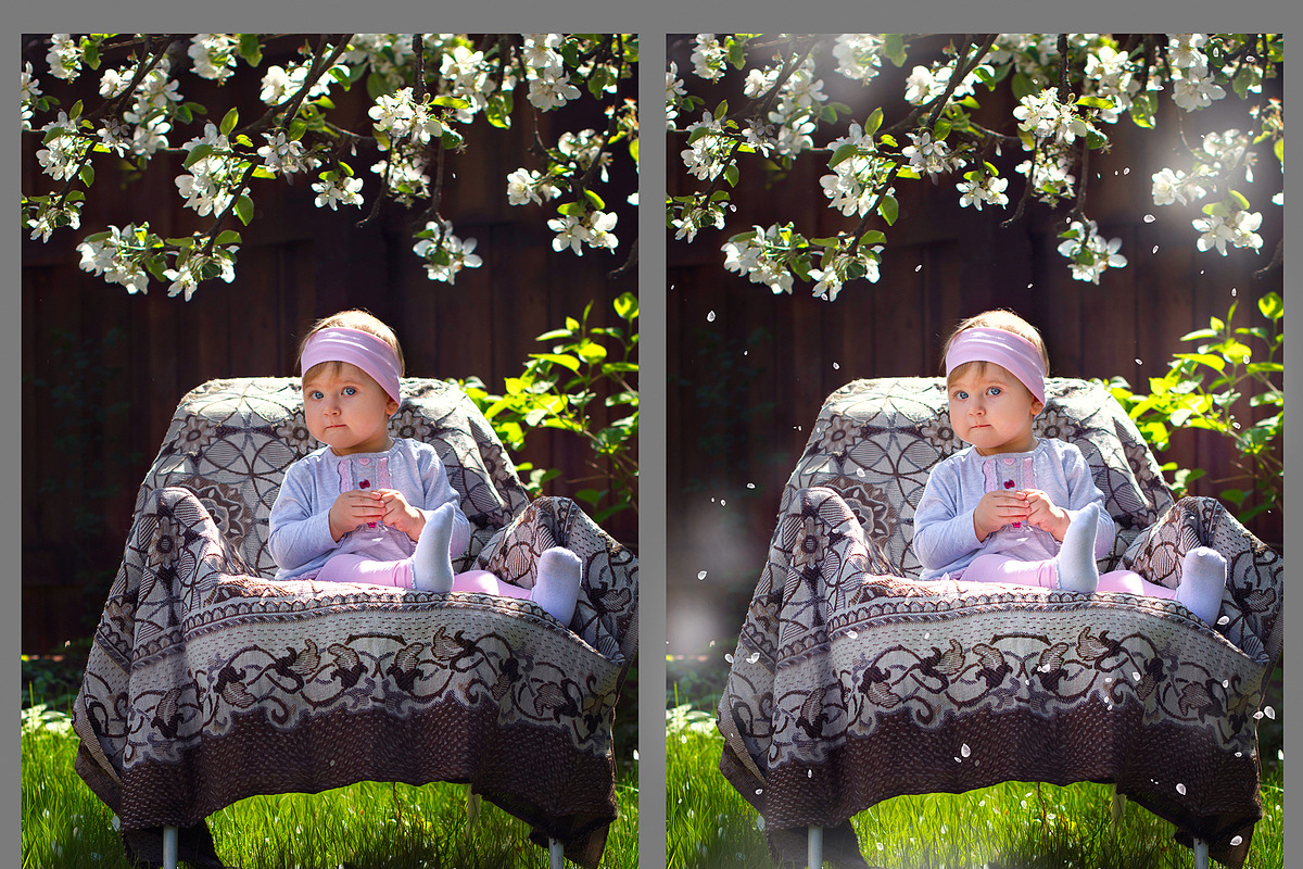 White and Pink Petals Overlays preview 2