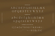 Cresinta – Modern & Stylish Serif, a Serif Font by BrandSemut (Thumbnail 10 of 10)
