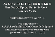Lovely Bastilla | Retro Serif Font, a Serif Font by MchCrafter (Thumbnail 17 of 18)