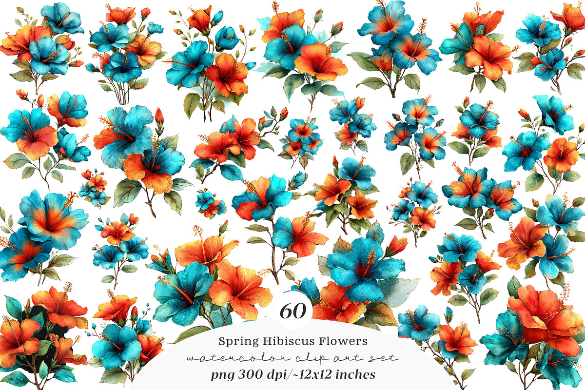 Whimsical spring hibiscus flowers, an Illustration by SinaCreation (Photo 1 of 11)