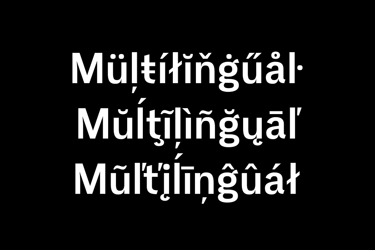 Eirene Sans - Type family, a Sans Serif Font by Tomas Castiglioni (Photo 4 of 20)