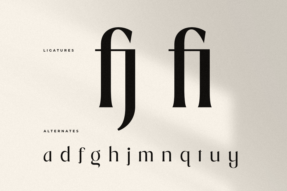 Manila – Modern Elegant Serif Font, a Serif Font by Hamz Studio (Photo 24 of 28)