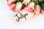Beautiful Beach | Script Font, a Handwritten Font by Scratchones (Thumbnail 4 of 9)