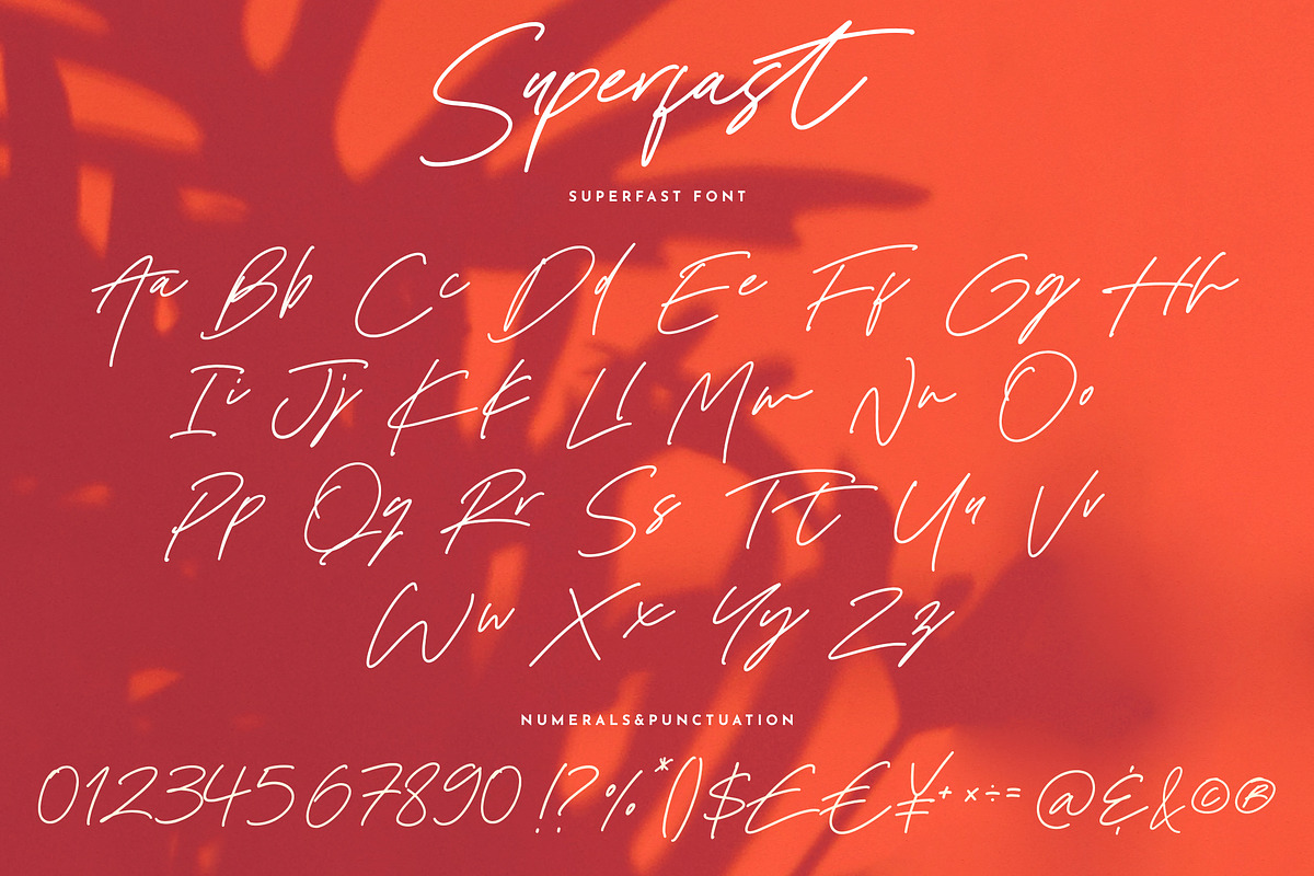 Superfast | Script Font, a Script Font by Studio&Story (Photo 13 of 13)