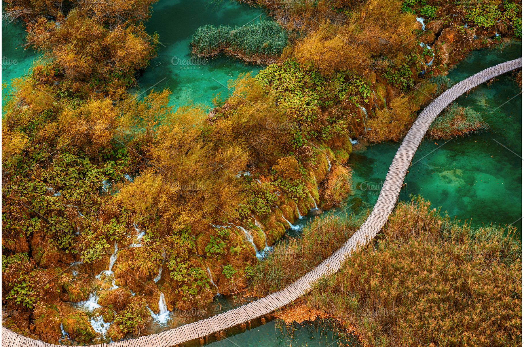 Aerial top down view of a wooden, a Nature Photo by Nature and travel