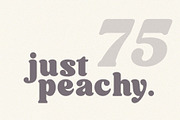 Willow. Typeface Bold Serif, a Serif Font by Kleffont Studio (Thumbnail 6 of 10)