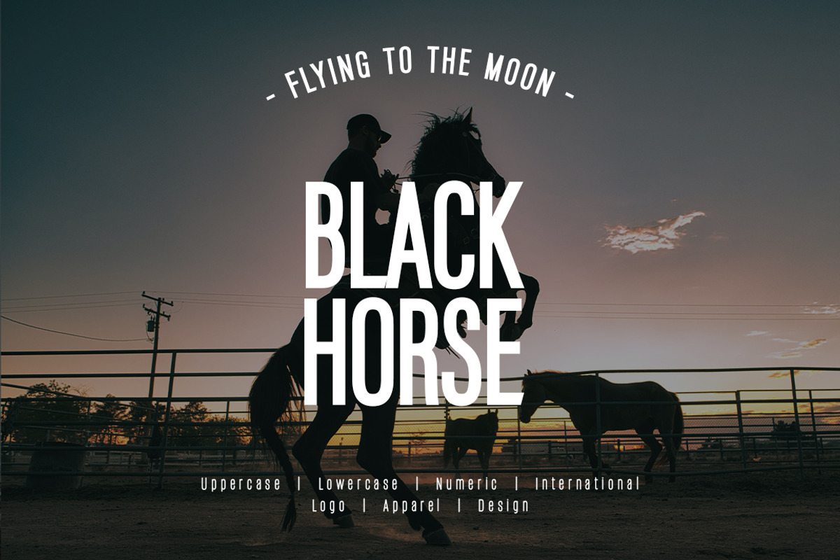 Tukimin Bold Font, a Sans Serif Font by yantodesign (Photo 5 of 8)
