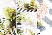 May Florals Bundle 2, a Household Mockup by Paisley Barn Design (Thumbnail 4 of 6)