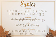 Sanies Script, a Script Font by khurasan (Thumbnail 6 of 7)