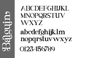 Balguin, a Serif Font by Muksal Creative (Thumbnail 7 of 9)
