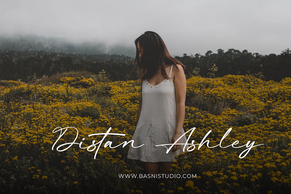 Beatina – Signature Font, a Script Font by Basnistudio (Photo 8 of 11)
