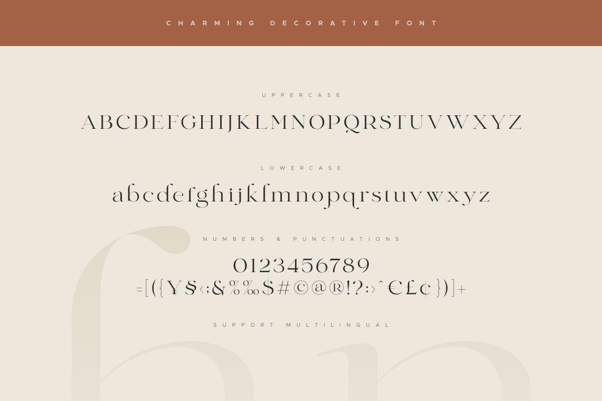 Charming - Classy & Decorative Font, a Serif Font by Sensatype (Photo 13 of 21)