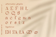 FRIESKA, a Serif Font by Umitype (Thumbnail 10 of 11)