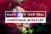 Christmas Light Leaks, a Texture Graphic by N A T H A N T H O M S O N (Thumbnail 3 of 4)