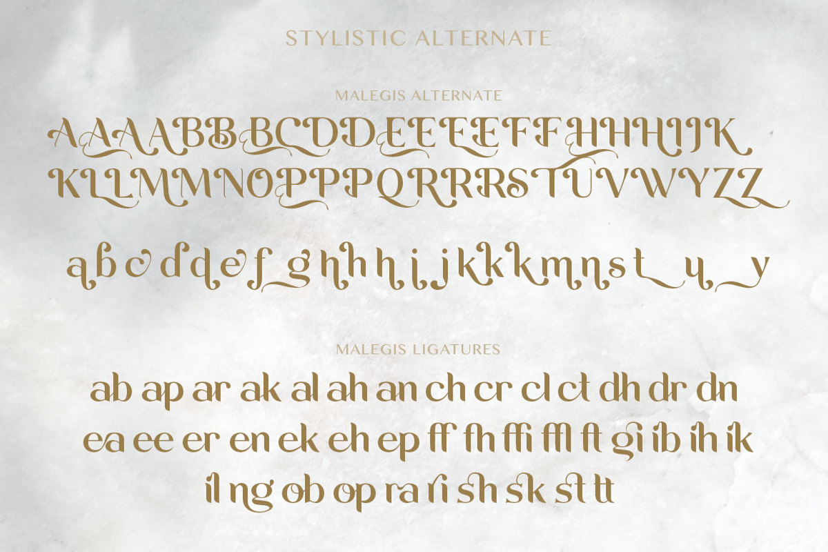 Malegis, a Sans Serif Font by Skypia (Photo 12 of 13)