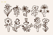 Quirky Florals Hand Drawn collection, an Object Illustration by Lena Nikolaeva (Thumbnail 9 of 12)