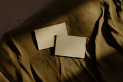 Olive Business Card Mockup, an Advertising Mockup by The Ethical Agency (Thumbnail 2 of 3)