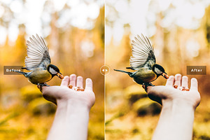 Birds & Wings Lightroom Presets Pack