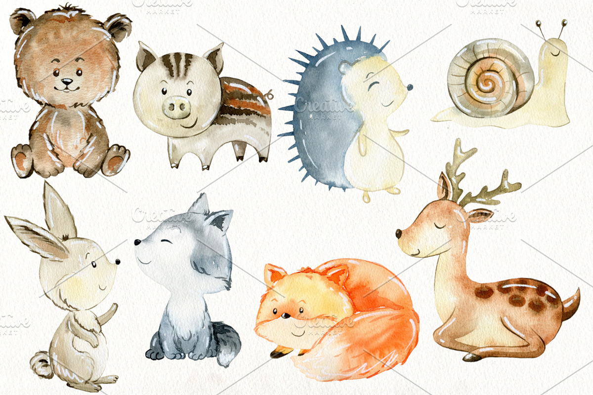70% off. Bundle. Woodland animals., an Animal Illustration by TaPilipa (Photo 32 of 38)