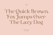 Qaligo Sans | Elegant Font, a Sans Serif Font by Youthlabs Studio (Thumbnail 2 of 18)