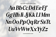 New Shuffle - Modern Serif Family Fo, a Serif Font by Flawless And Co (Thumbnail 8 of 10)