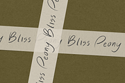 Blissful Radiance Handwritten Font, a Handwritten Font by The Gelato Type (Thumbnail 8 of 33)