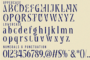 Sparked | Modern Serif Font, a Serif Font by 177Studio (Thumbnail 8 of 8)
