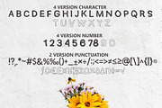 SEMERU - HANDWRITTEN SANS FONT, a Sans Serif Font by Wellscript Studio (Thumbnail 13 of 13)