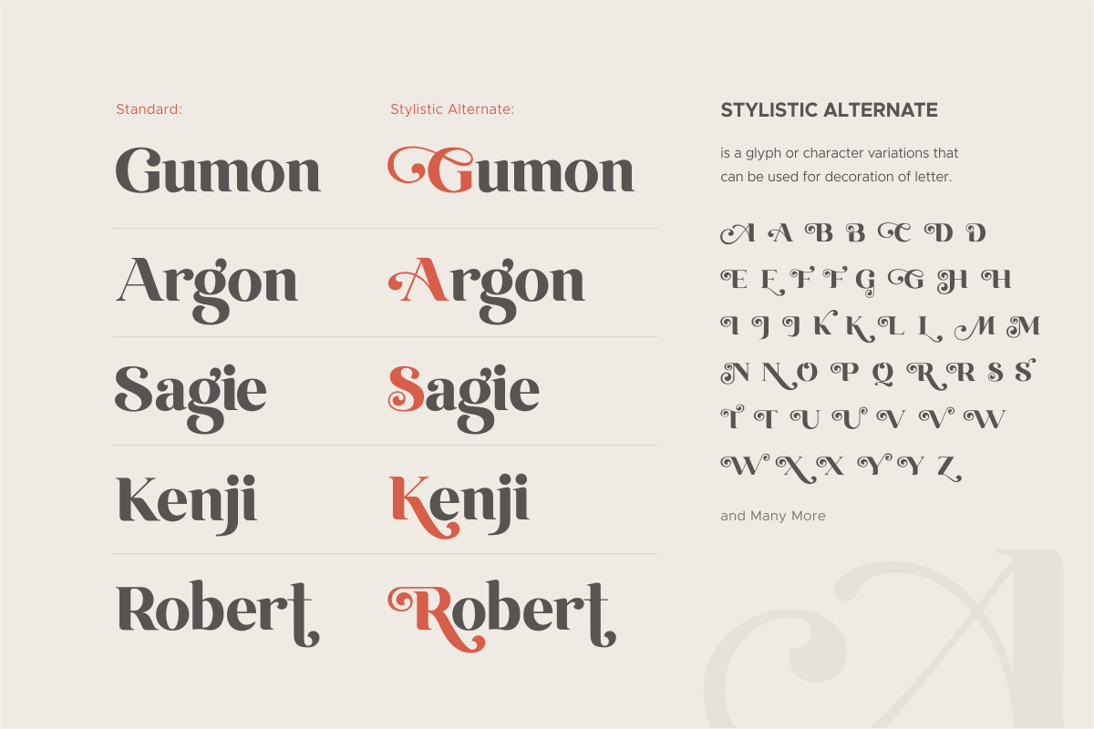 Emirates - Beautiful Curved Font, a Serif Font by Sensatype (Photo 19 of 25)